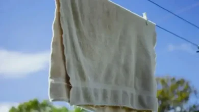 Como lavar toalhas de banho e eliminar as bactérias