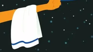 Dia da Toalha (ou Dia do Orgulho Nerd)